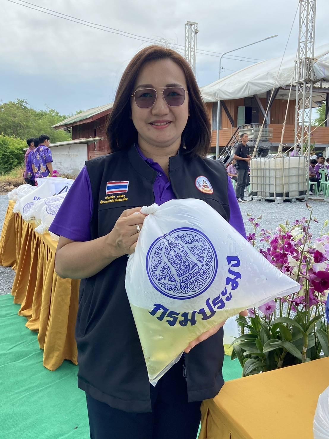 ภาพประกอบที่ 9