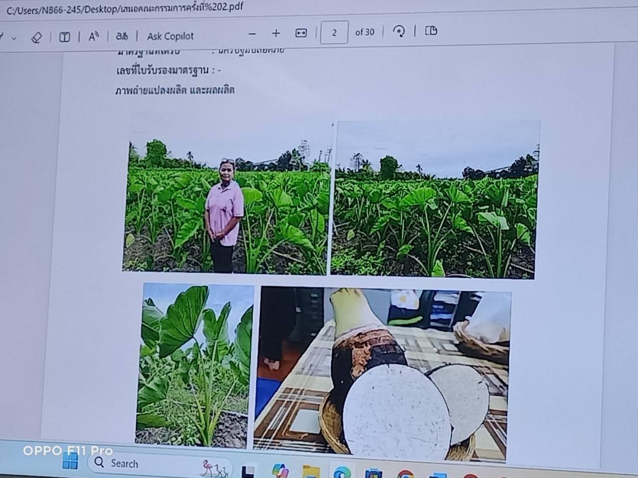 ภาพประกอบที่ 4