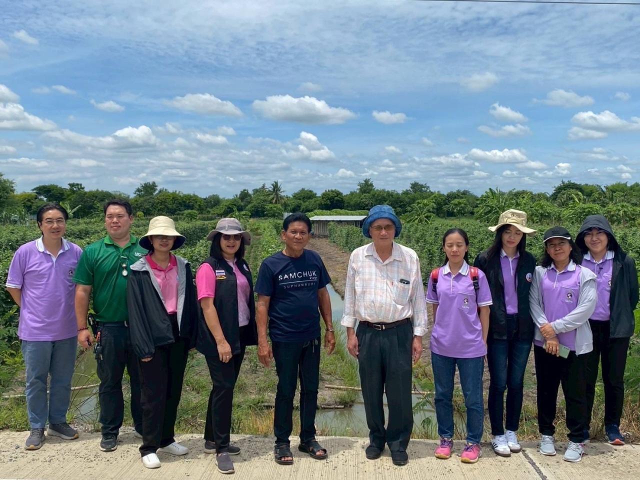 ภาพประกอบที่ 7