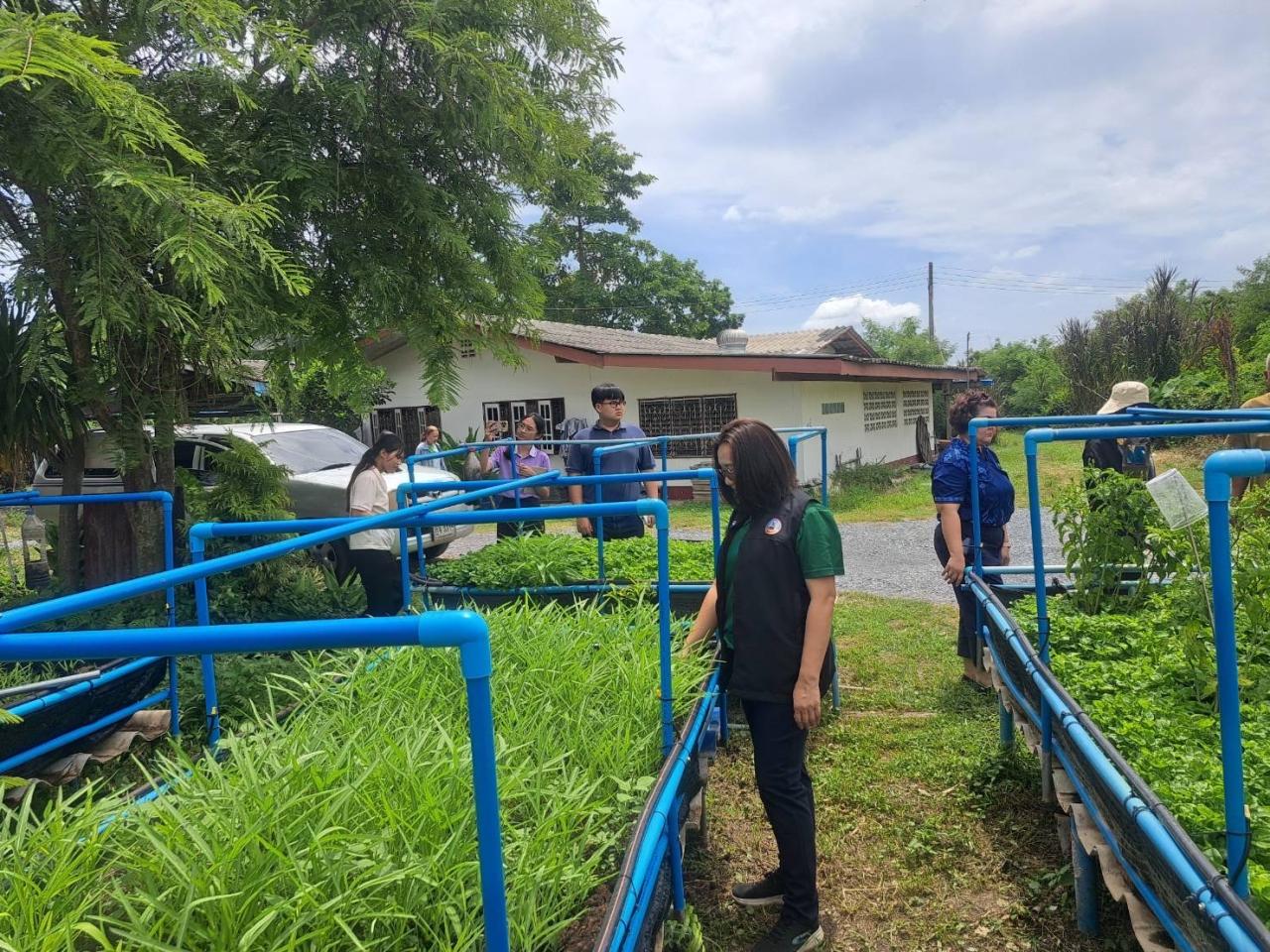 ภาพประกอบที่ 4