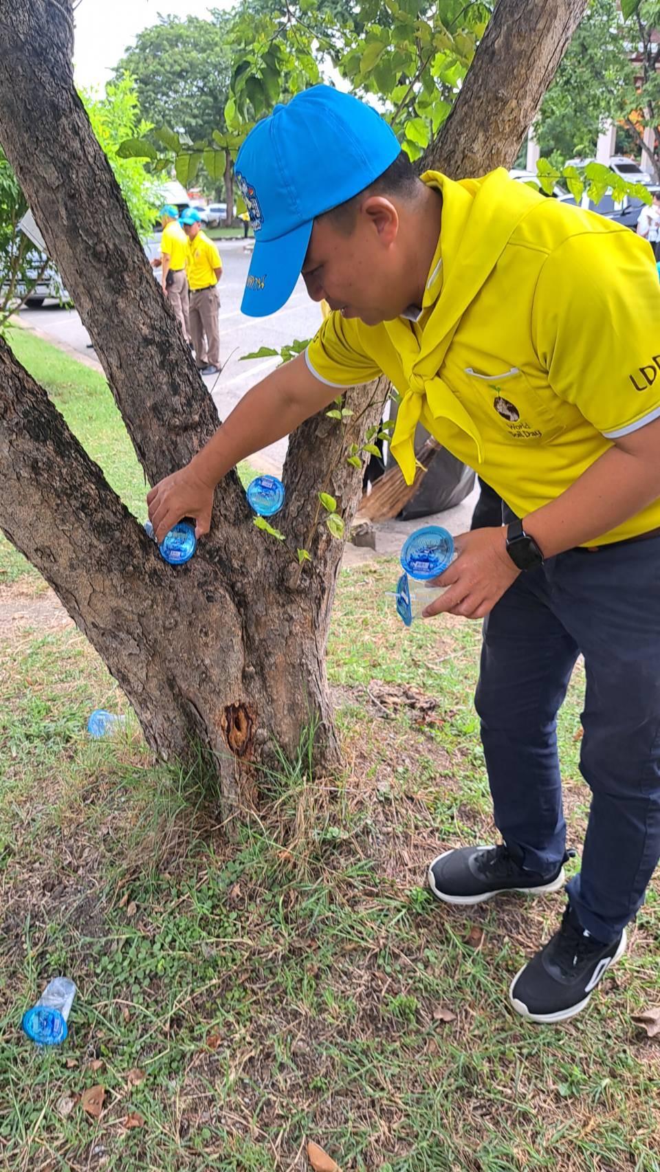 ภาพประกอบที่ 1