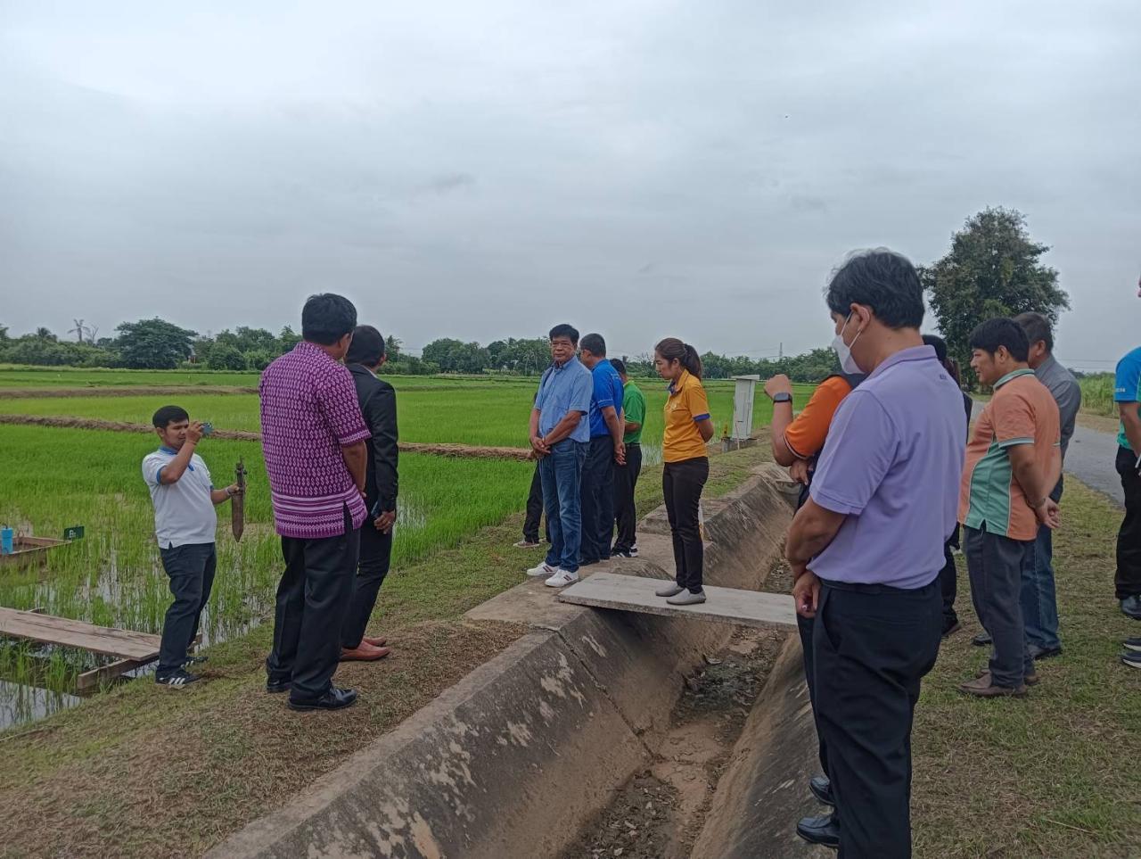 ภาพประกอบที่ 8