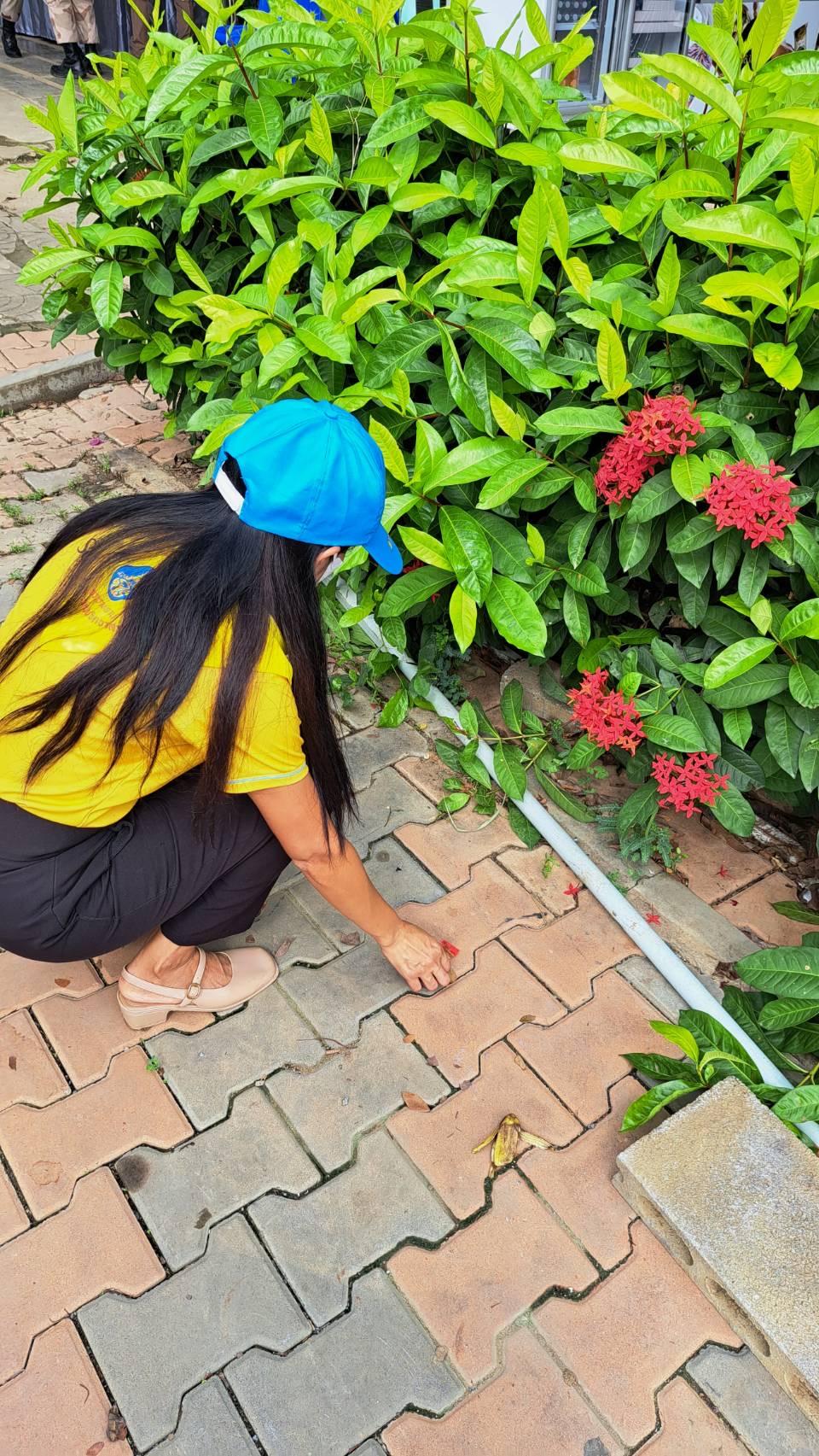 ภาพประกอบที่ 0