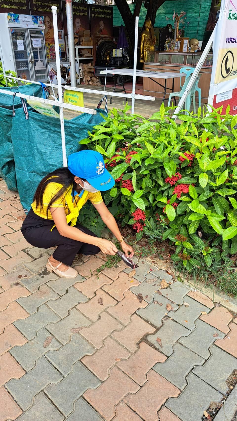 ภาพประกอบที่ 4