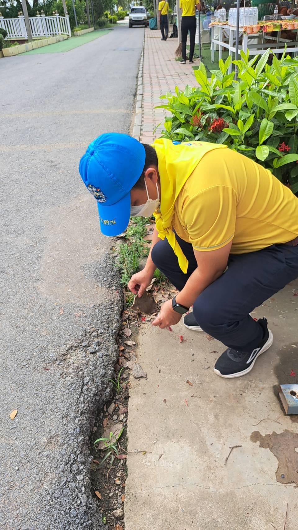 ภาพประกอบที่ 6