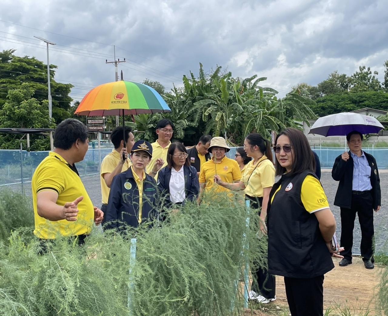 ภาพประกอบที่ 8