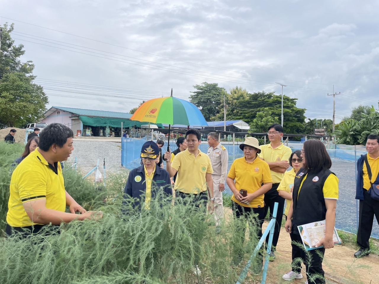 ภาพประกอบที่ 13