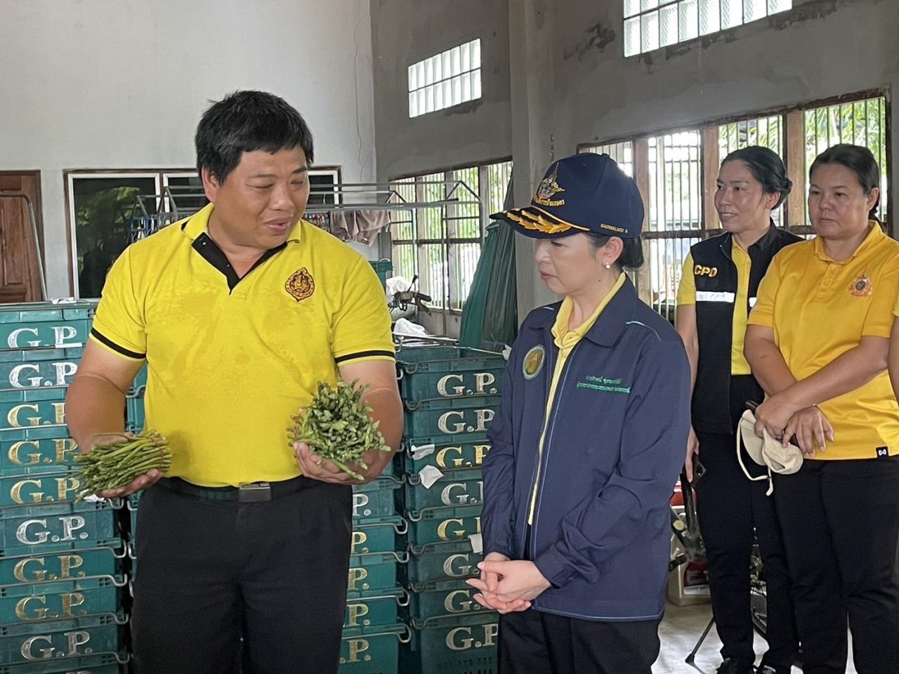 ภาพประกอบที่ 14