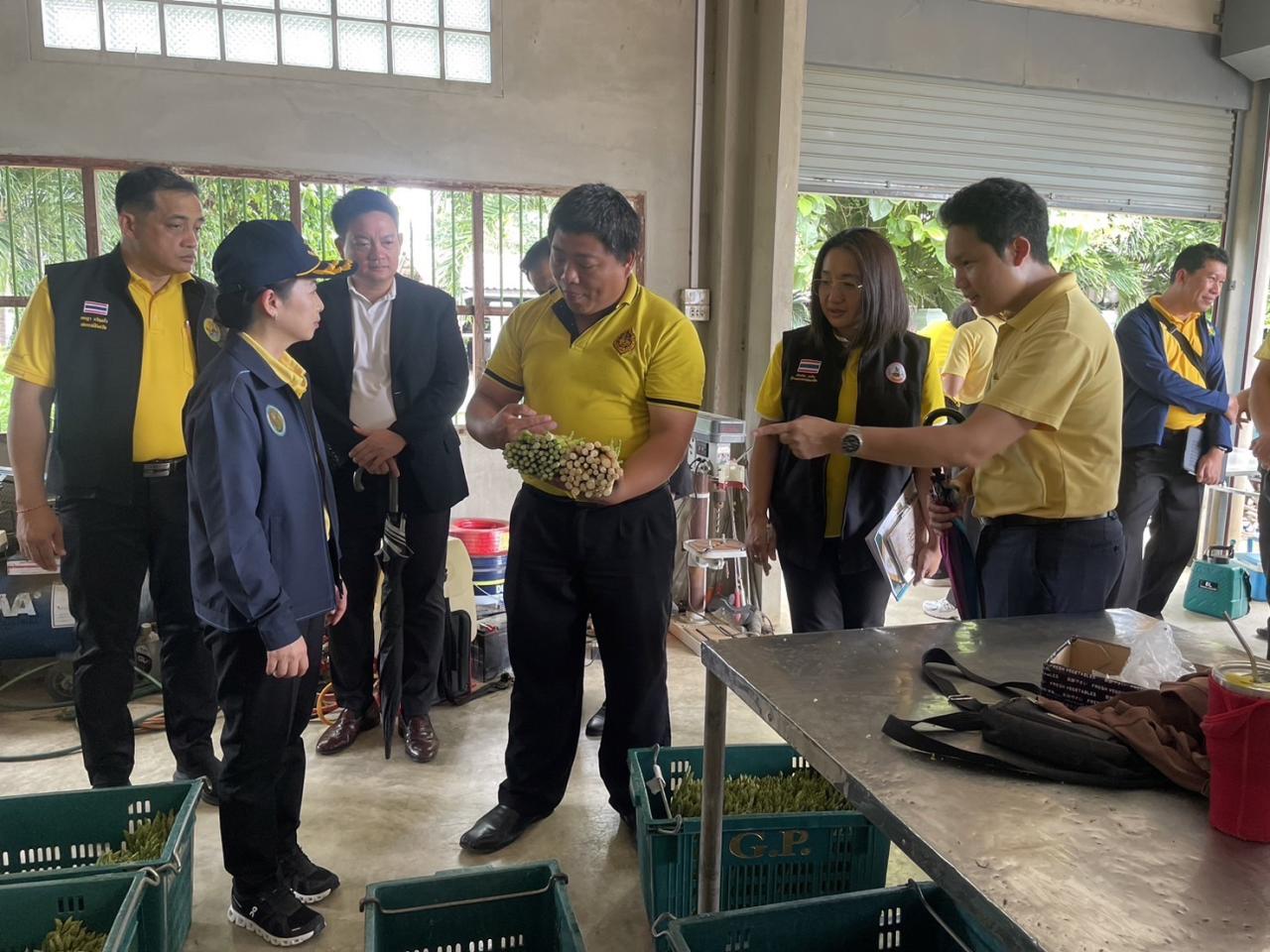 ภาพประกอบที่ 15