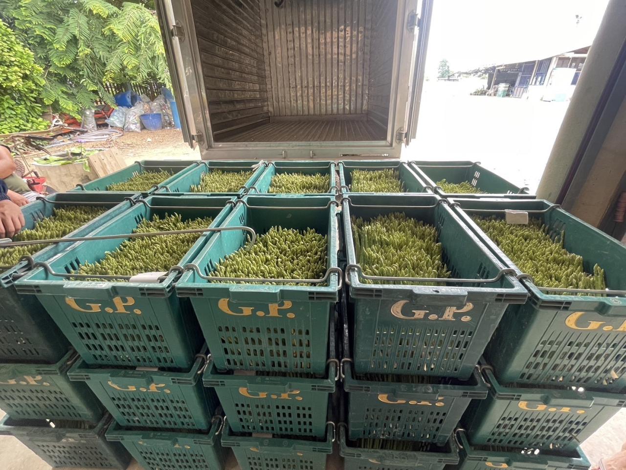 ภาพประกอบที่ 17