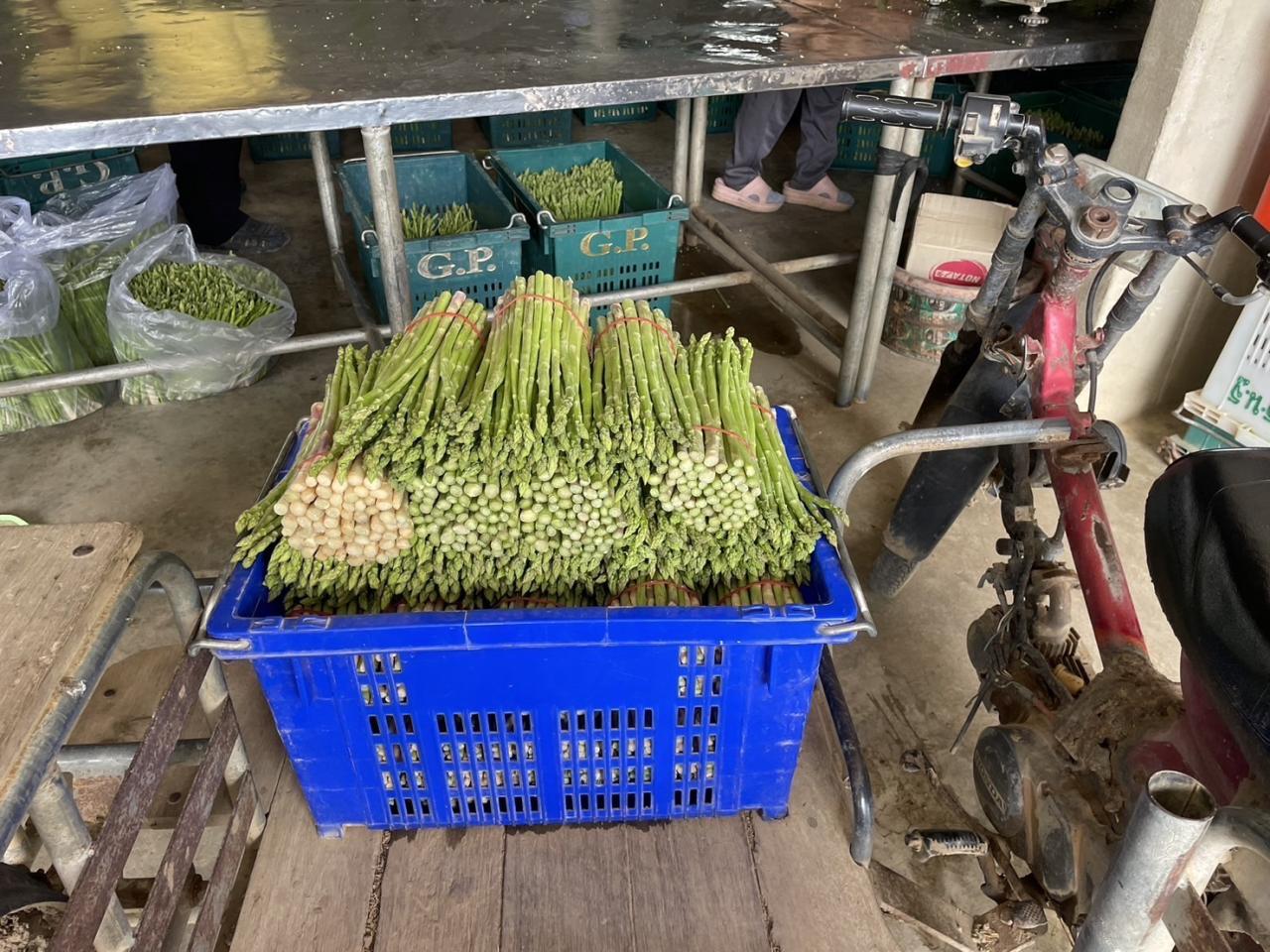 ภาพประกอบที่ 18