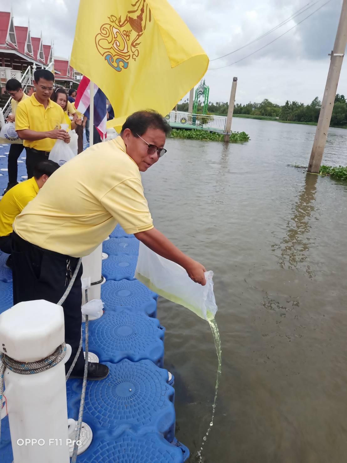 ภาพประกอบที่ 4