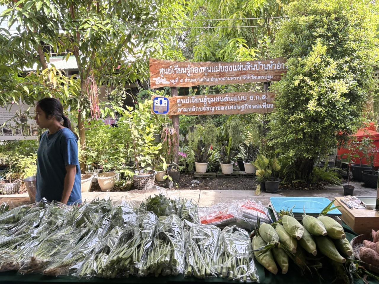 ภาพประกอบที่ 9