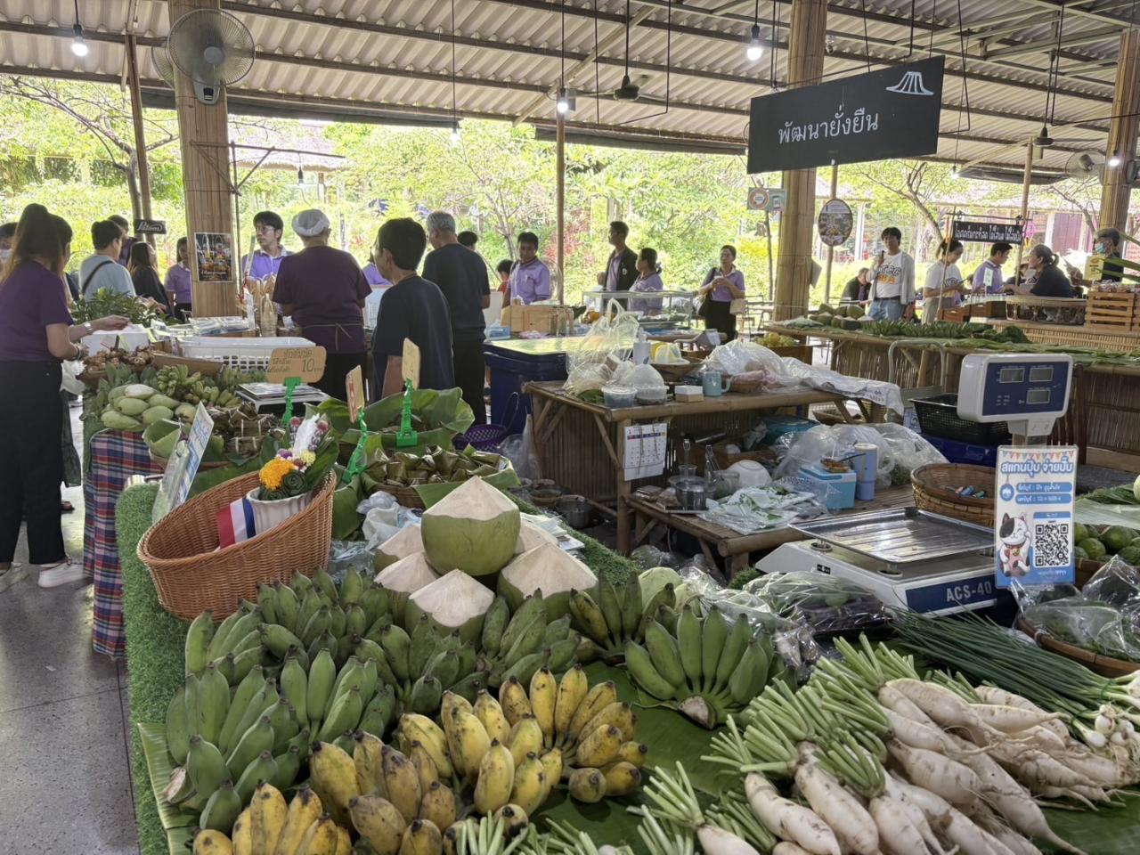 ภาพประกอบที่ 10
