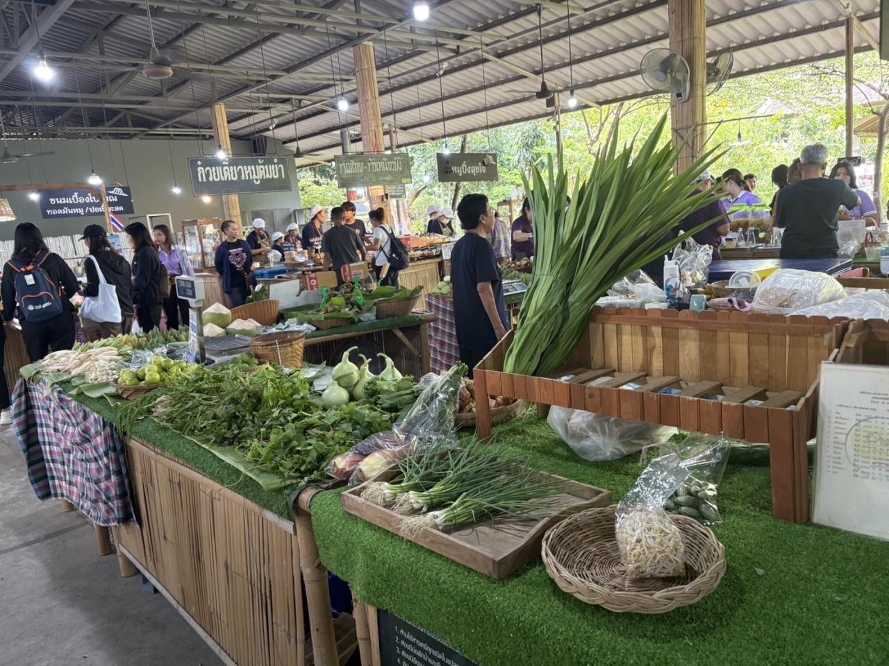 ภาพประกอบที่ 11