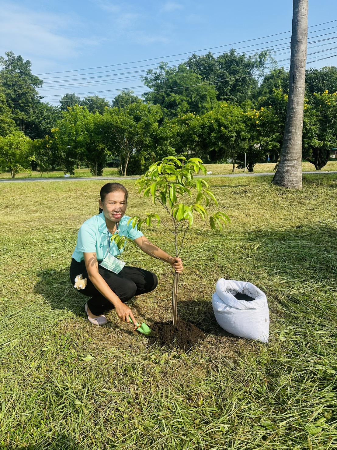ภาพประกอบที่ 5