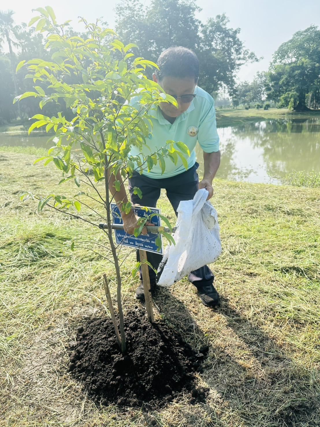 ภาพประกอบที่ 6