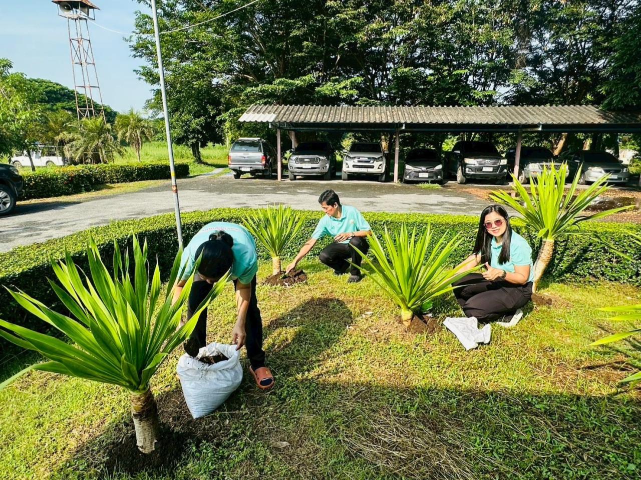 ภาพประกอบที่ 10