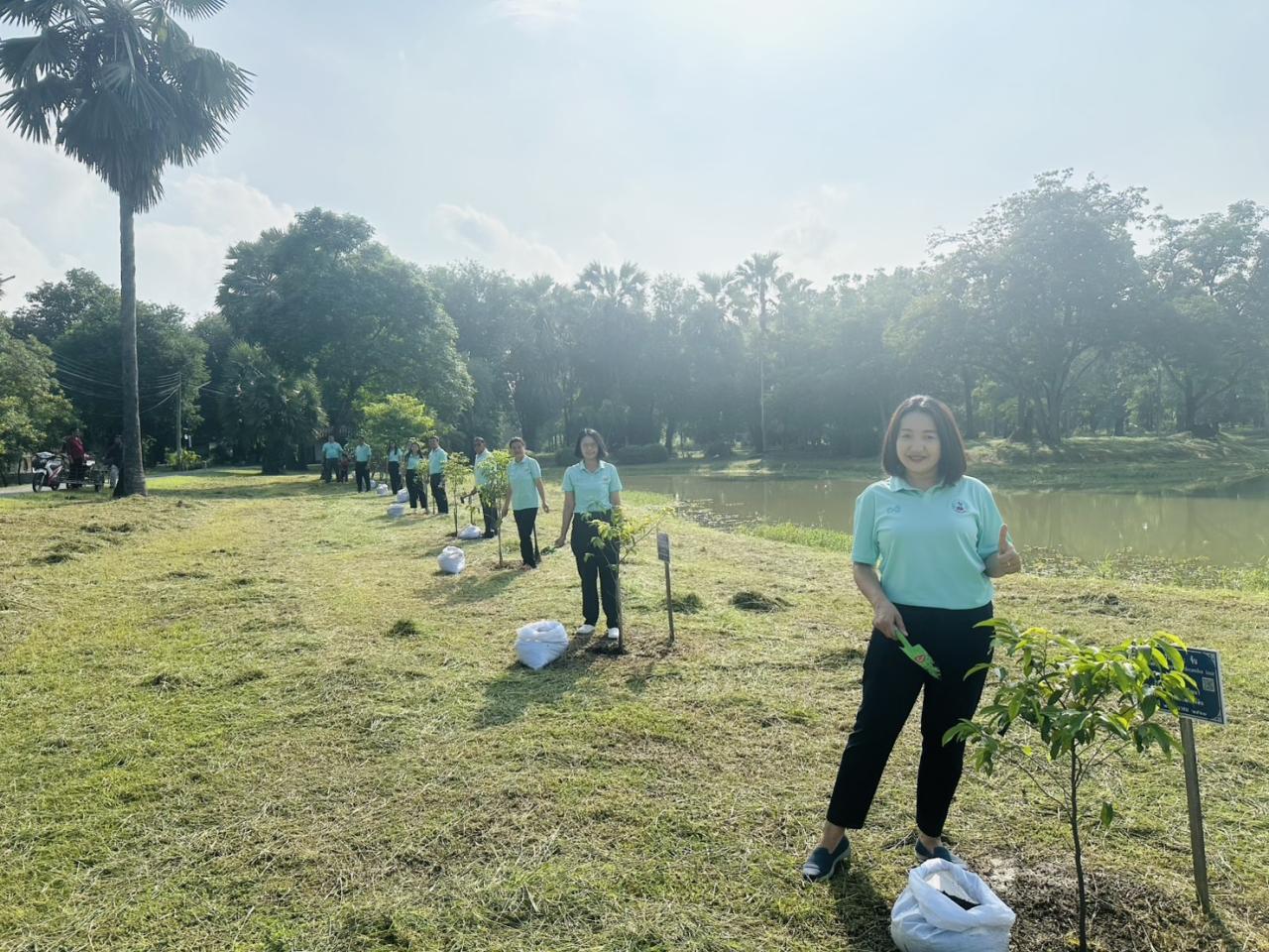 ภาพประกอบที่ 12