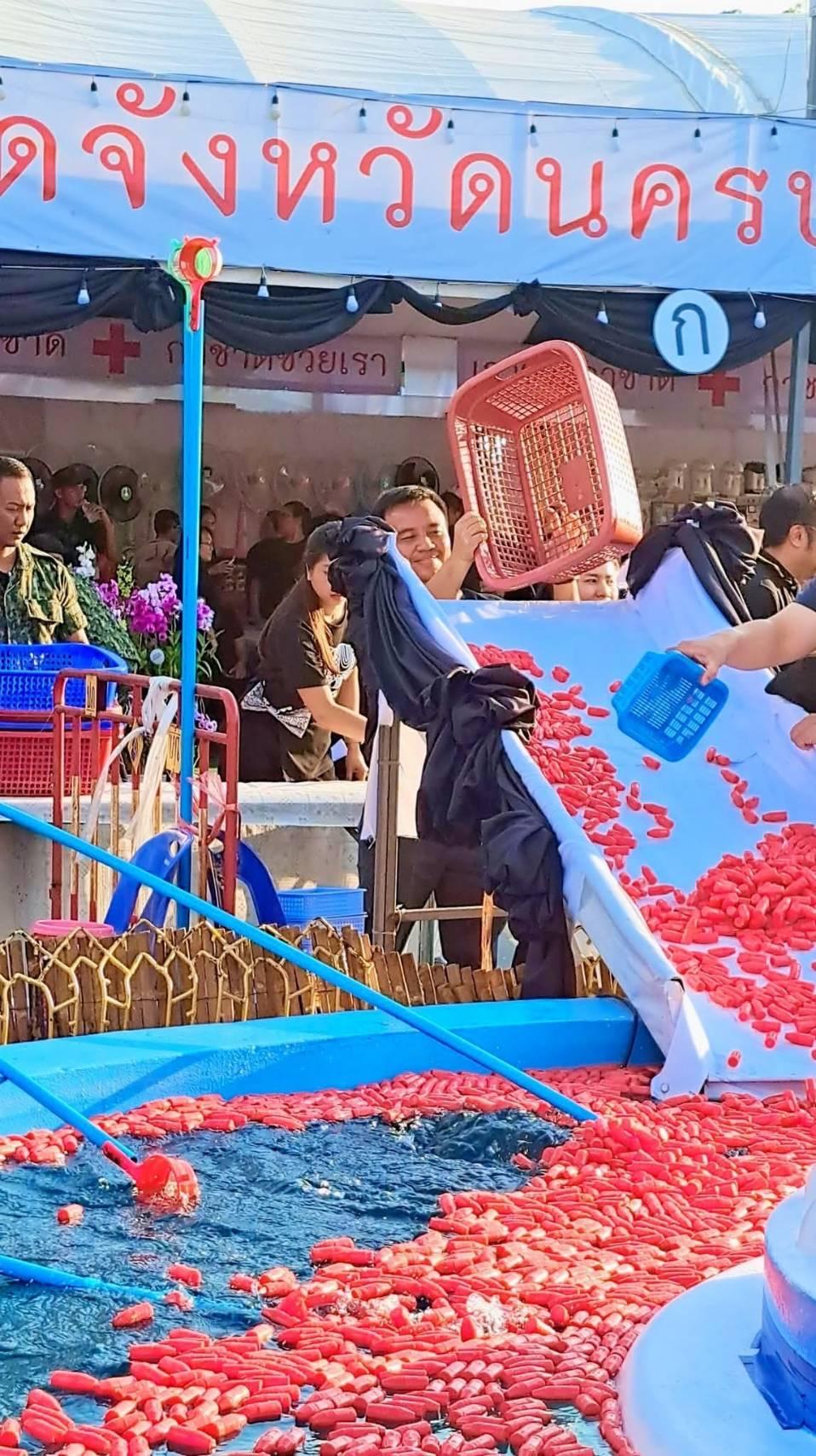 ภาพประกอบที่ 2