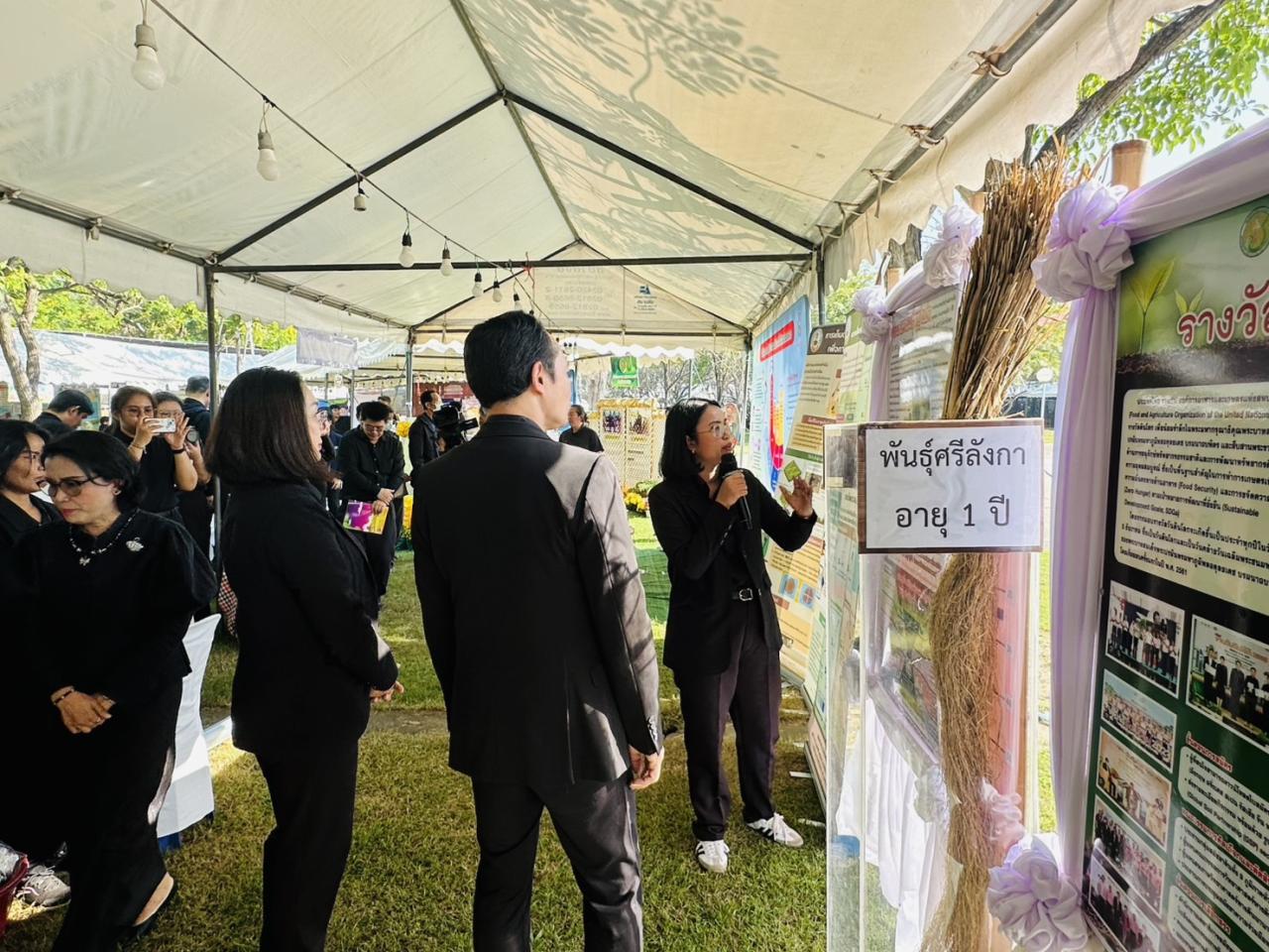 ภาพประกอบที่ 10