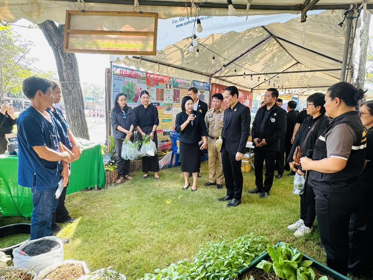 ภาพประกอบที่ 13