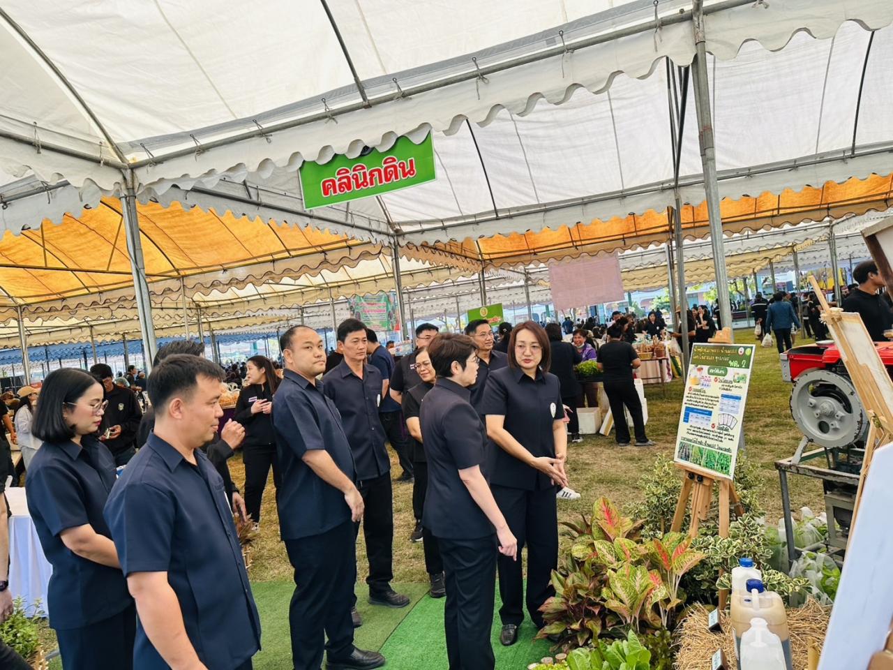 ภาพประกอบที่ 10