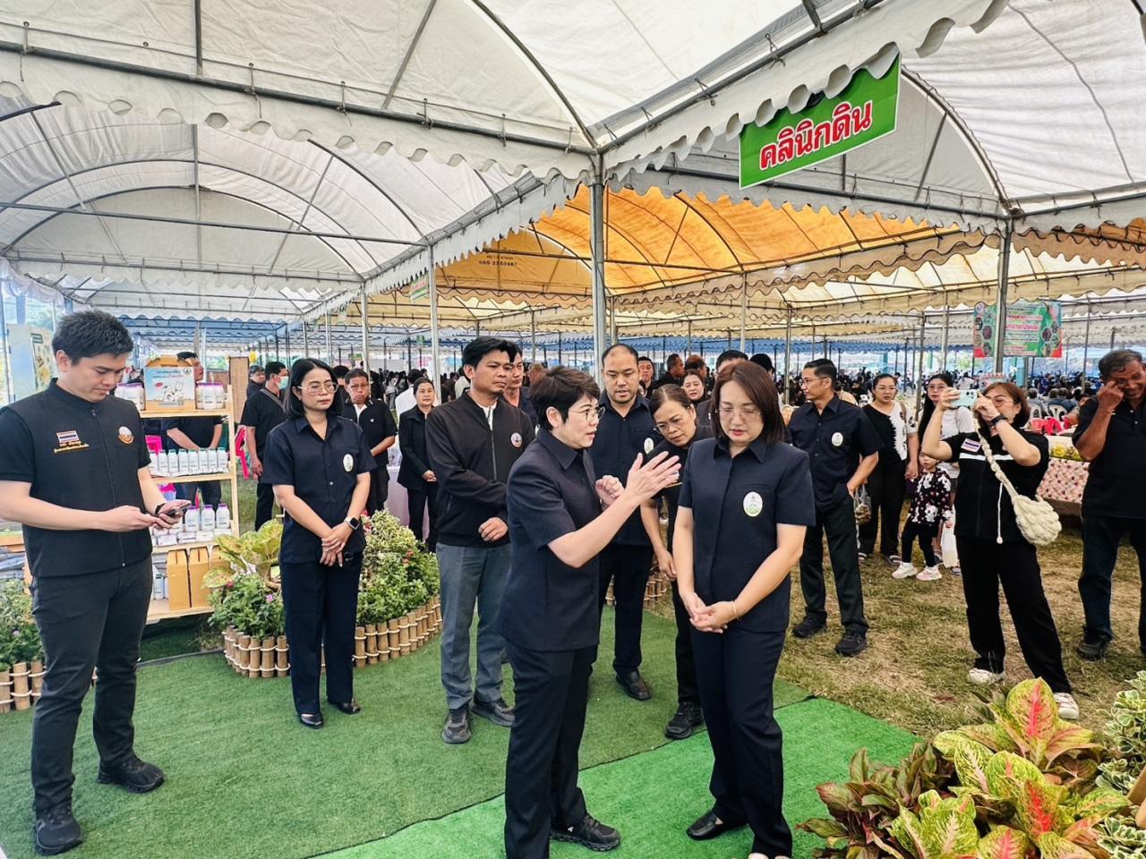 ภาพประกอบที่ 11