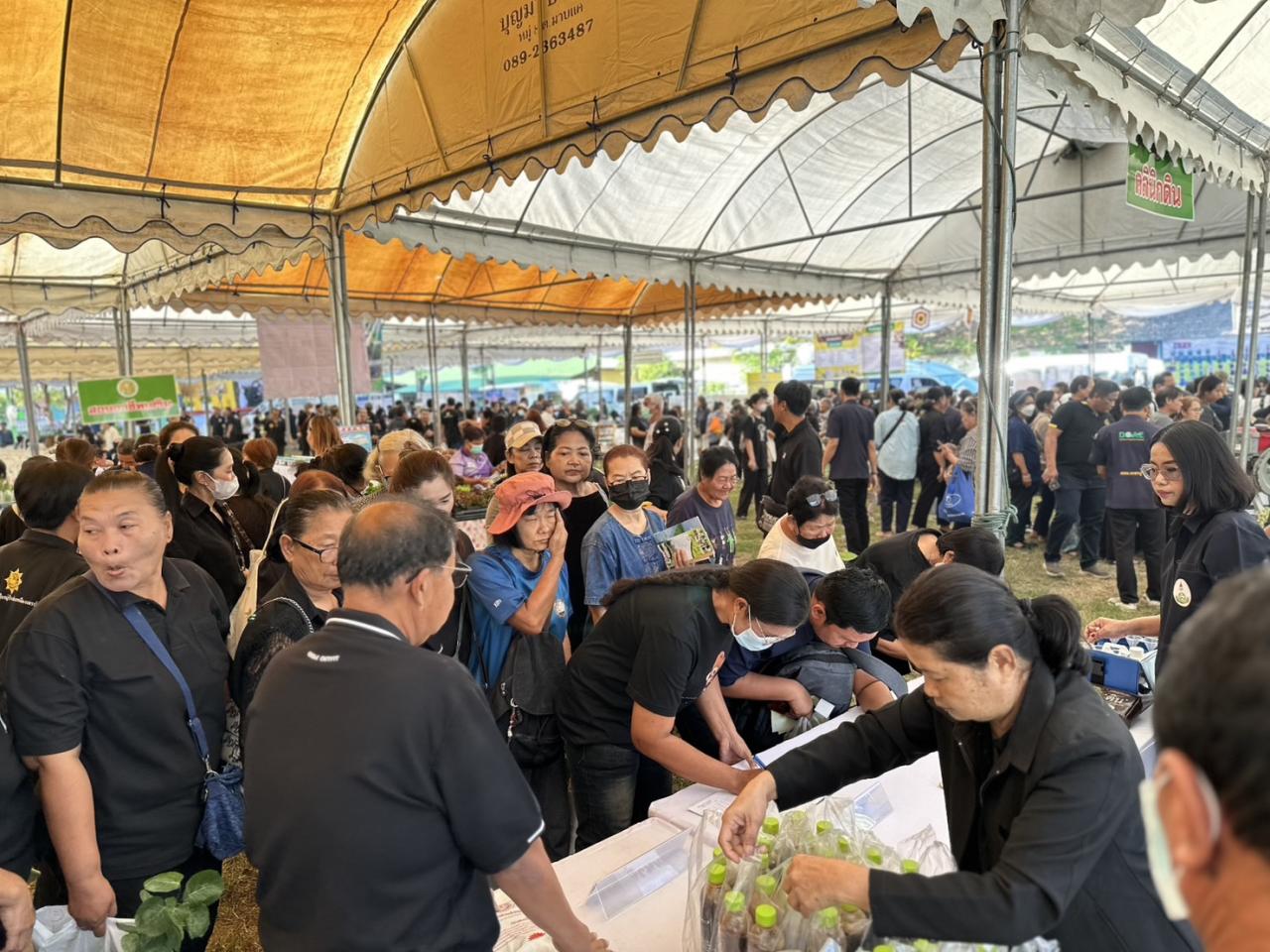 ภาพประกอบที่ 16