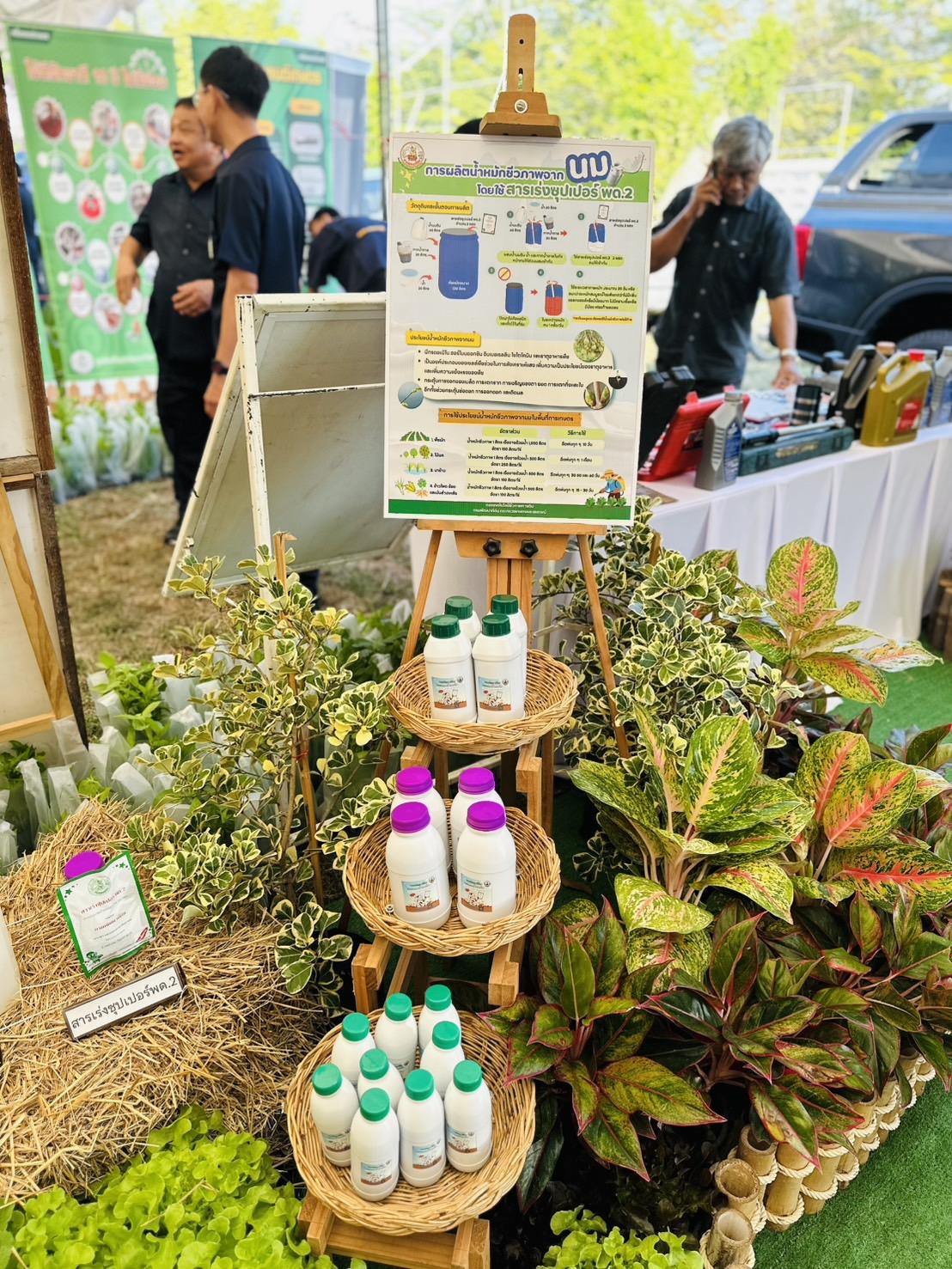 ภาพประกอบที่ 20