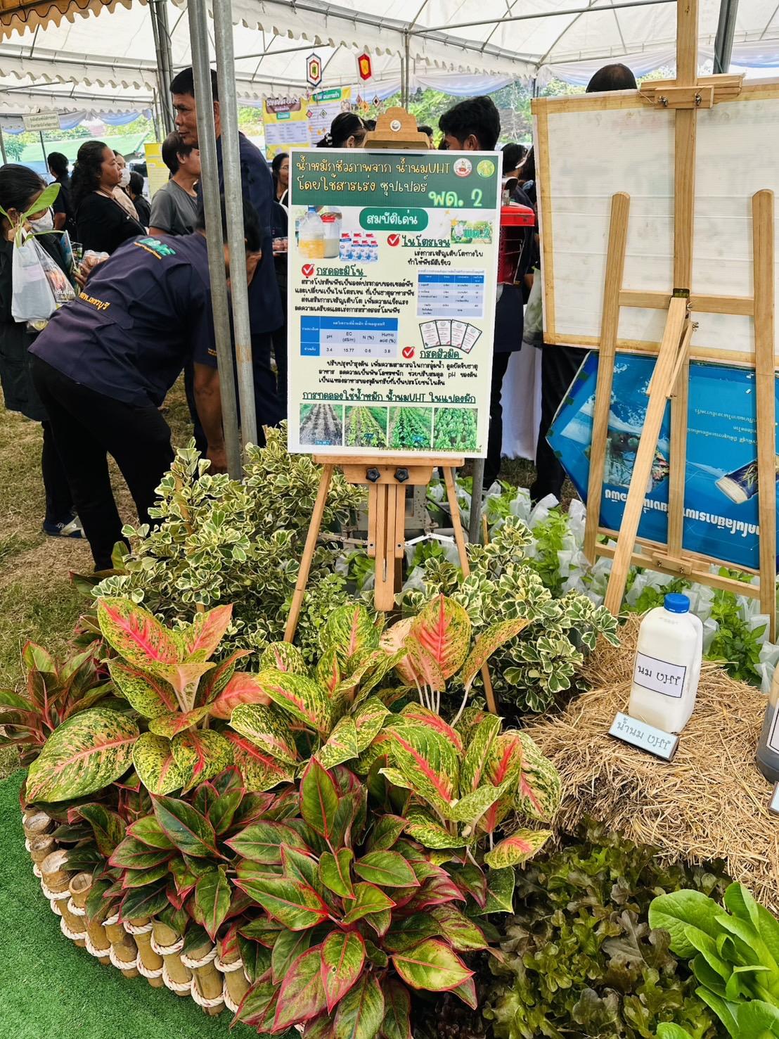 ภาพประกอบที่ 21