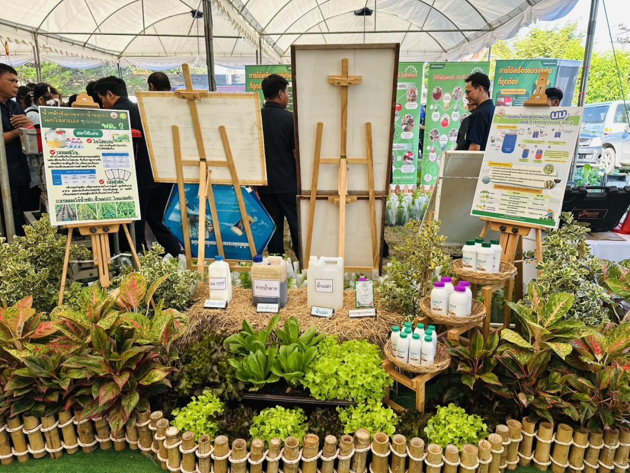 ภาพประกอบที่ 22