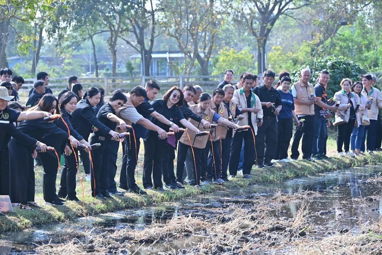 ภาพประกอบที่ 11