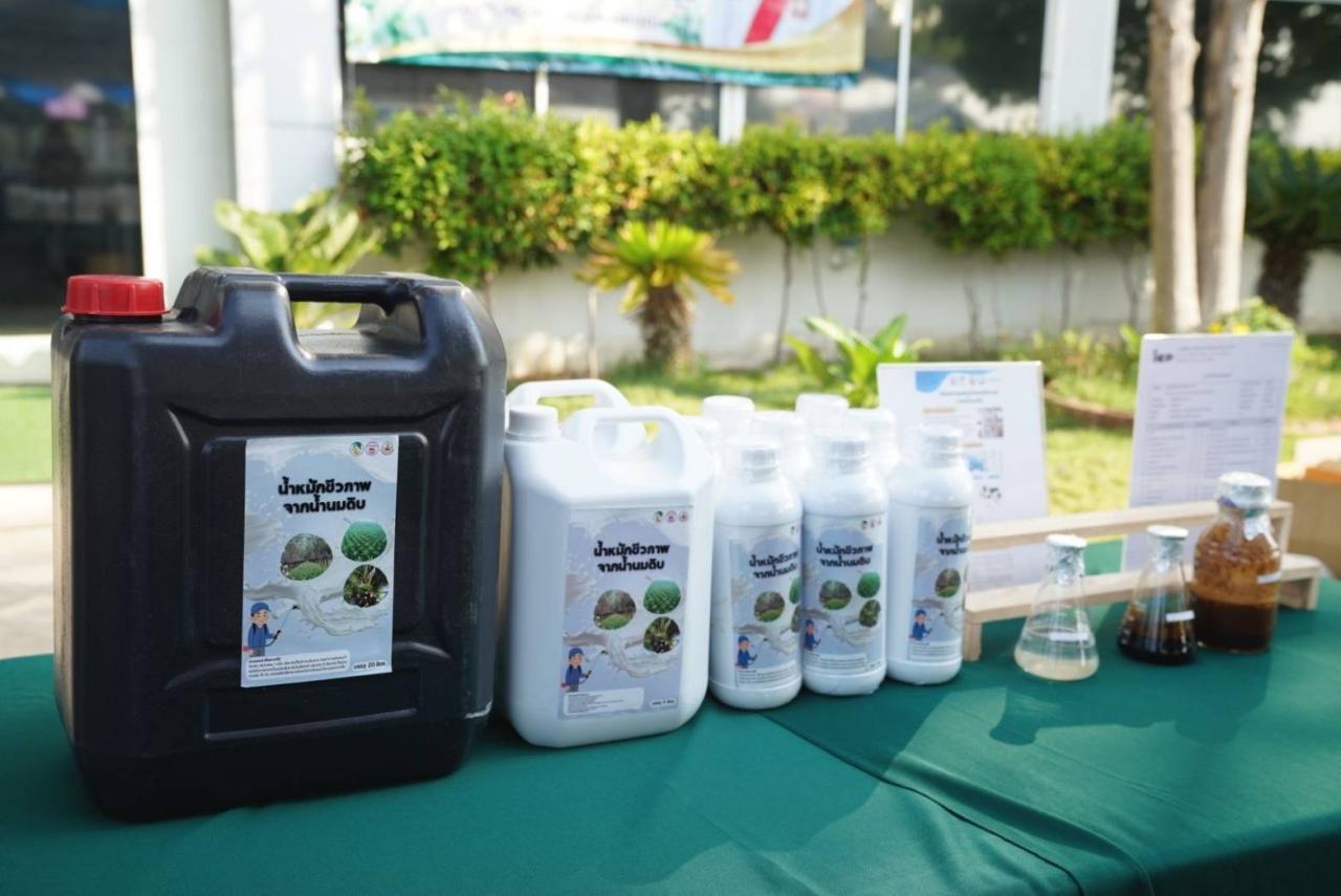 ภาพประกอบที่ 10