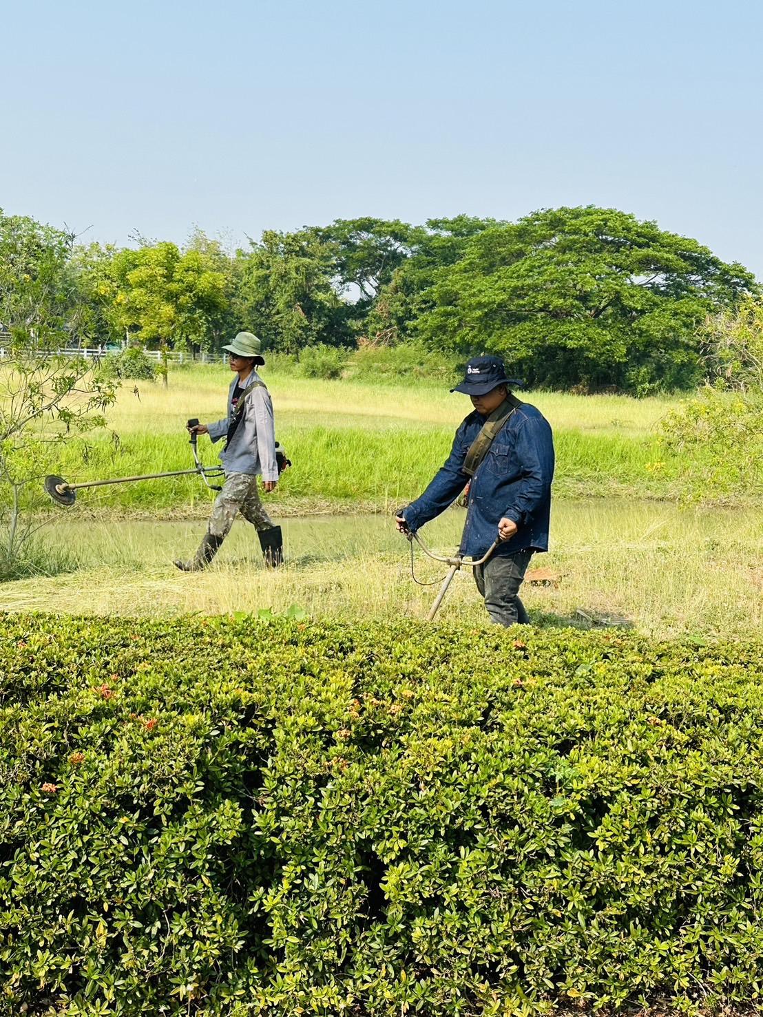 ภาพประกอบที่ 2