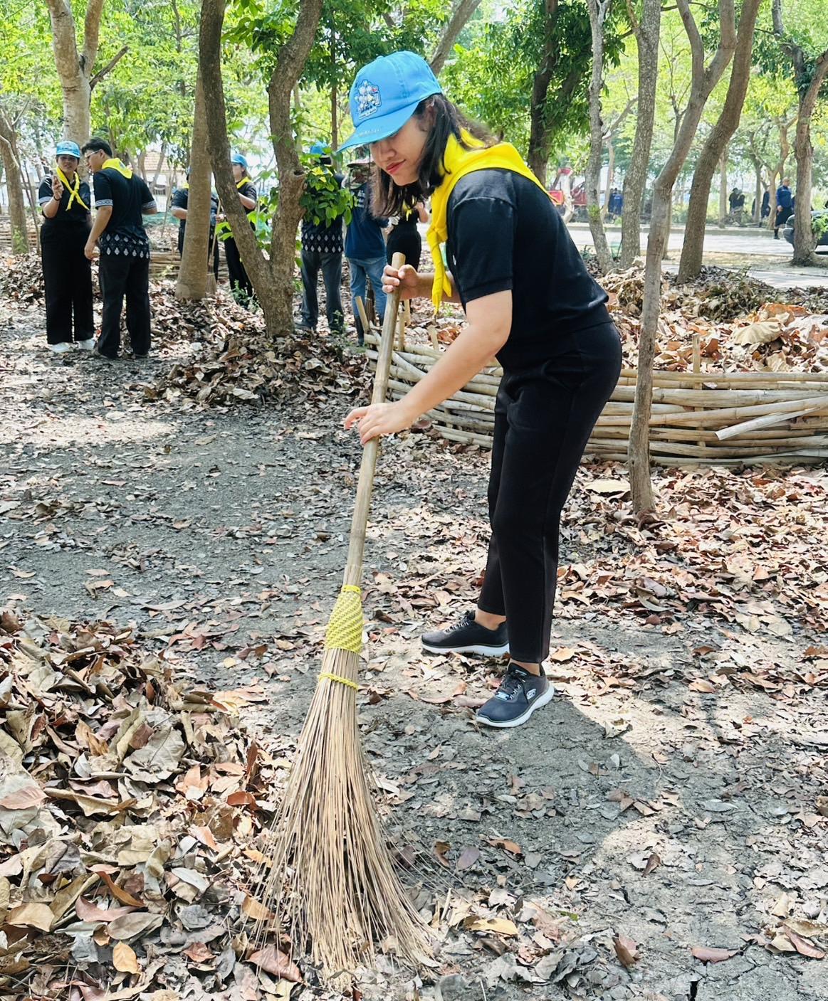 ภาพประกอบที่ 6