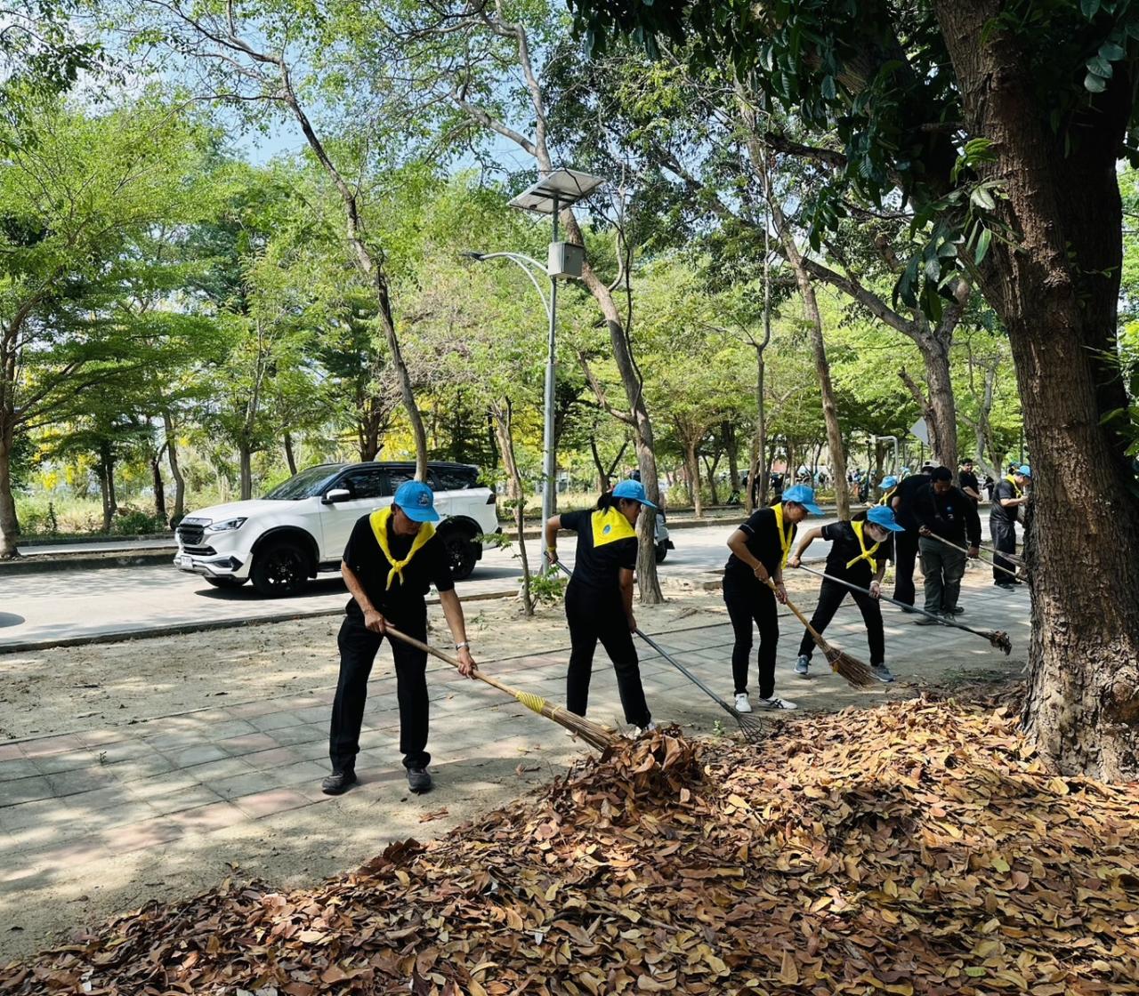 ภาพประกอบที่ 11