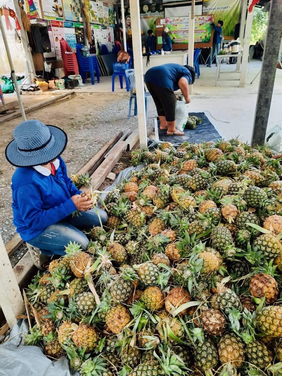 ภาพประกอบที่ 15