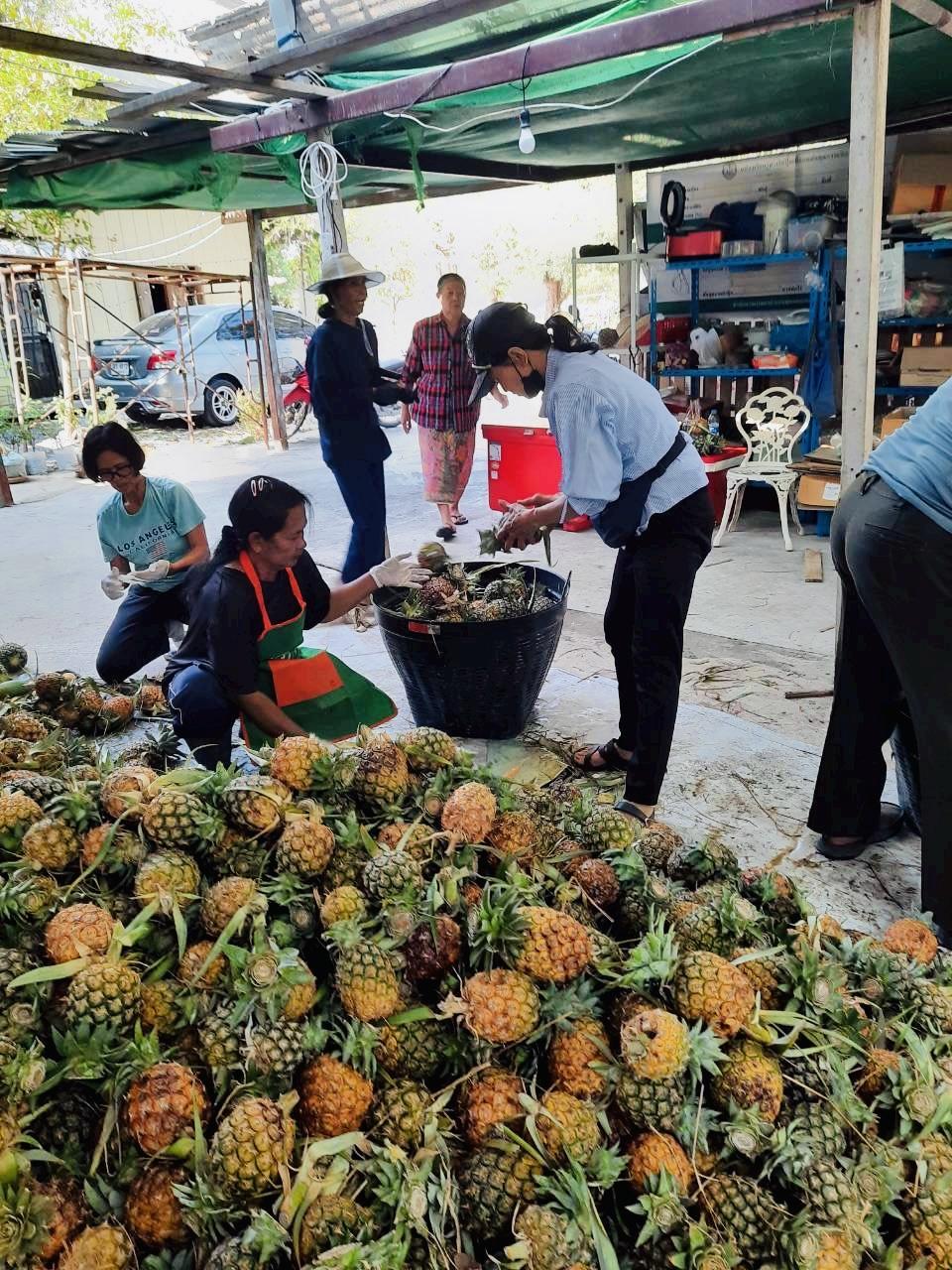 ภาพประกอบที่ 16