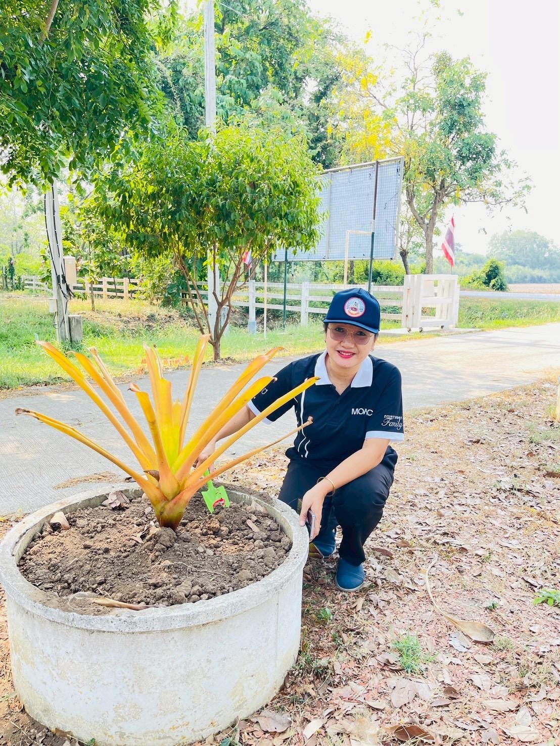 ภาพประกอบที่ 1