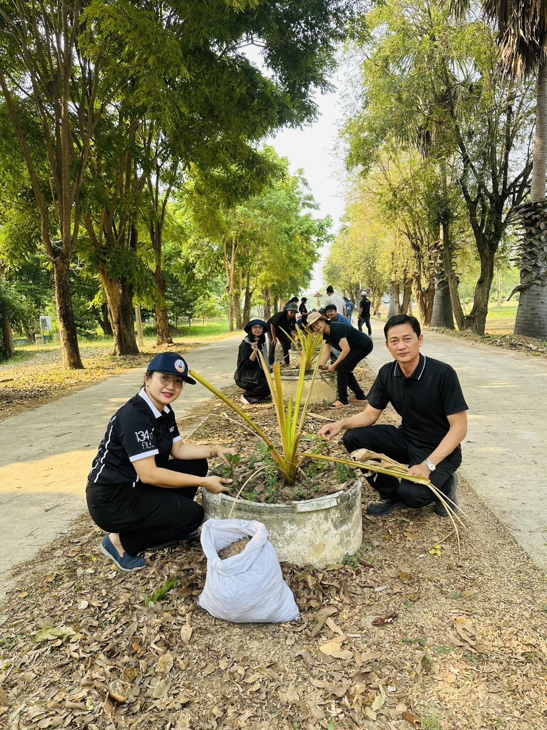 ภาพประกอบที่ 2