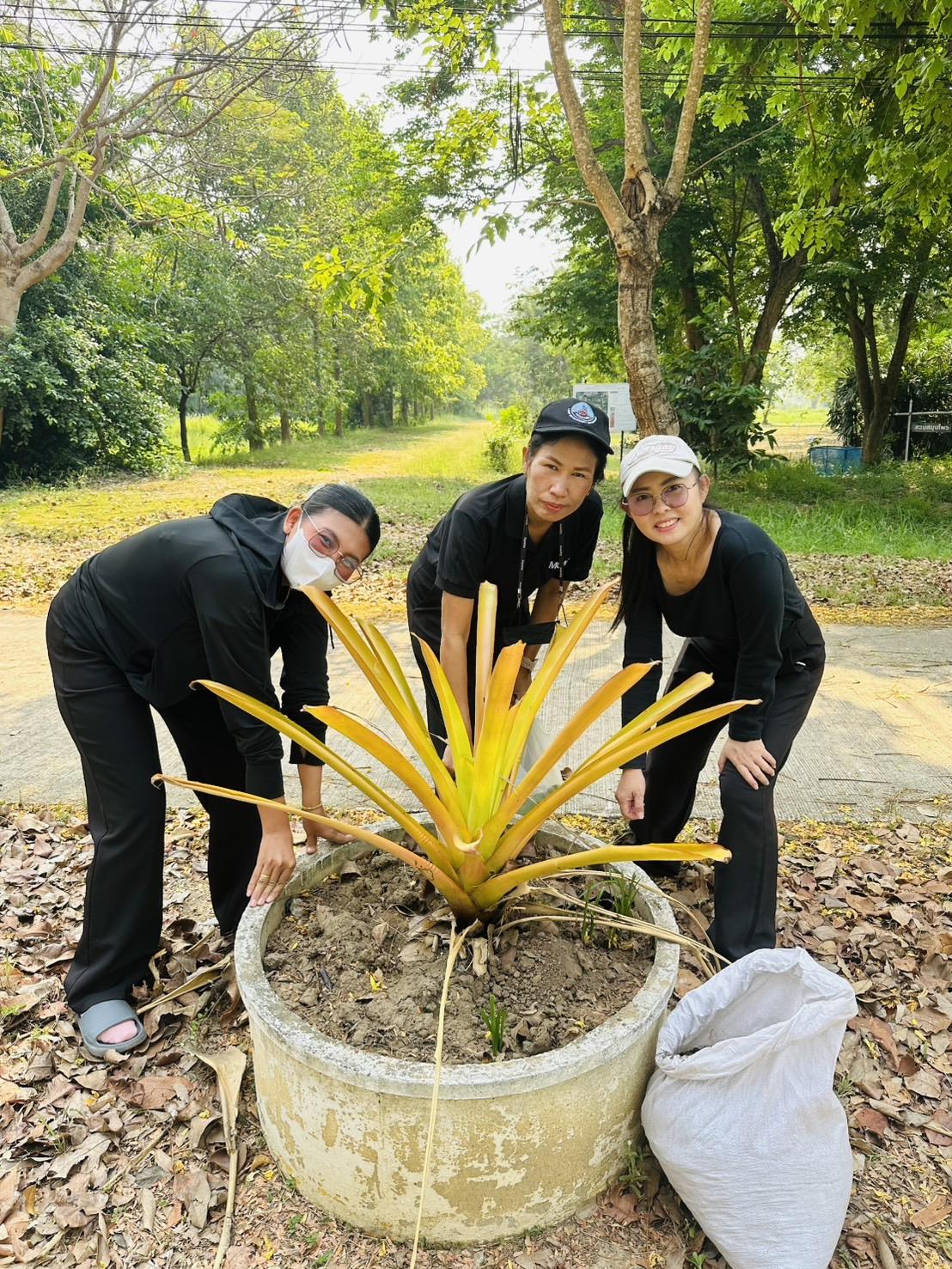 ภาพประกอบที่ 5