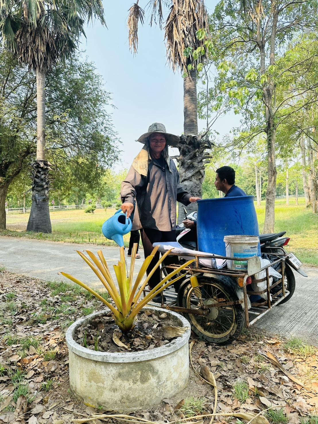 ภาพประกอบที่ 7