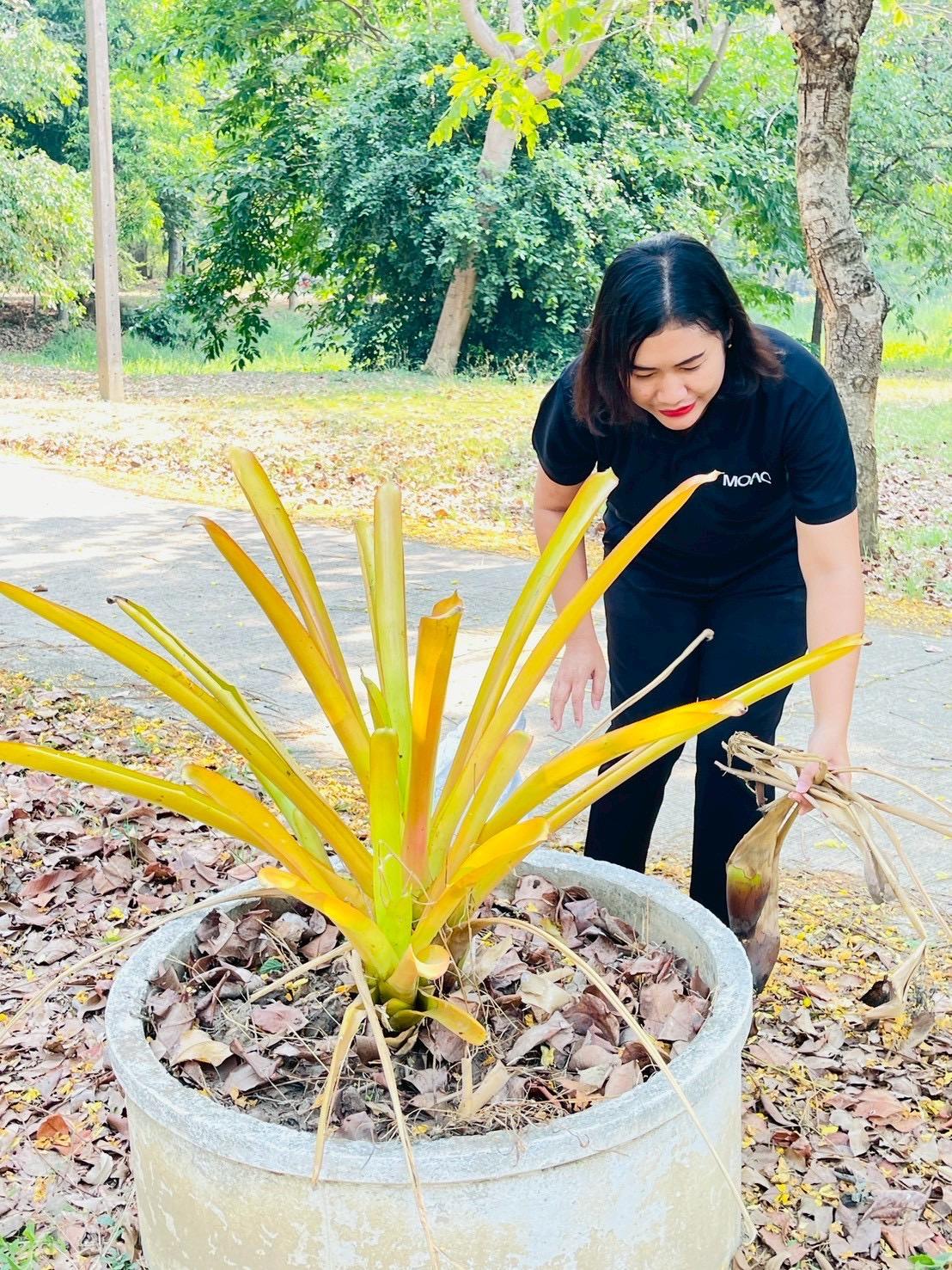 ภาพประกอบที่ 8