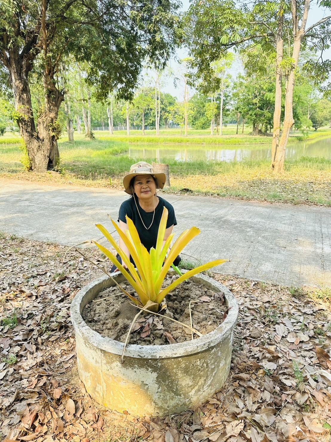 ภาพประกอบที่ 9