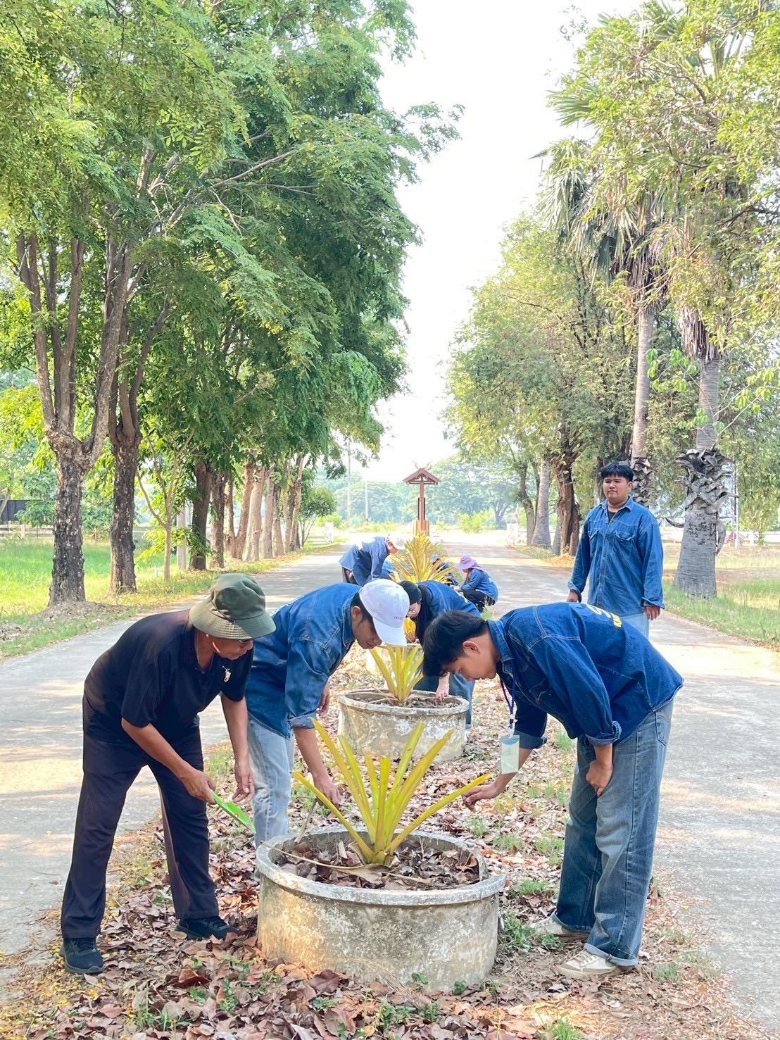 ภาพประกอบที่ 12