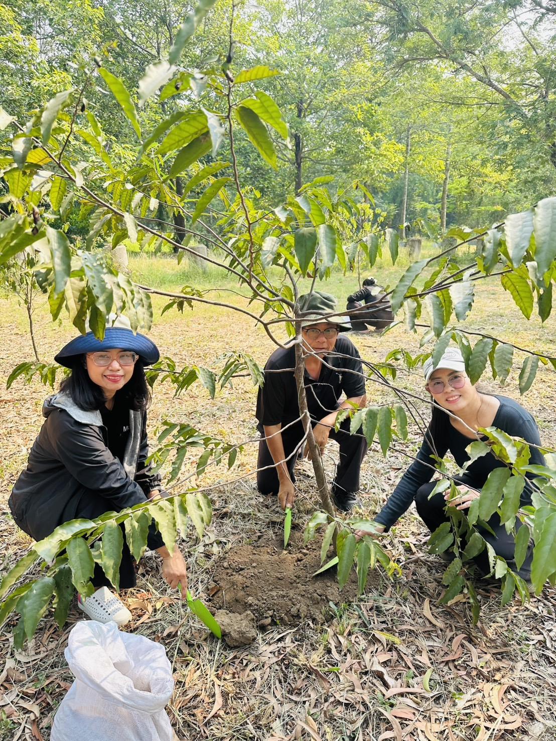 ภาพประกอบที่ 15