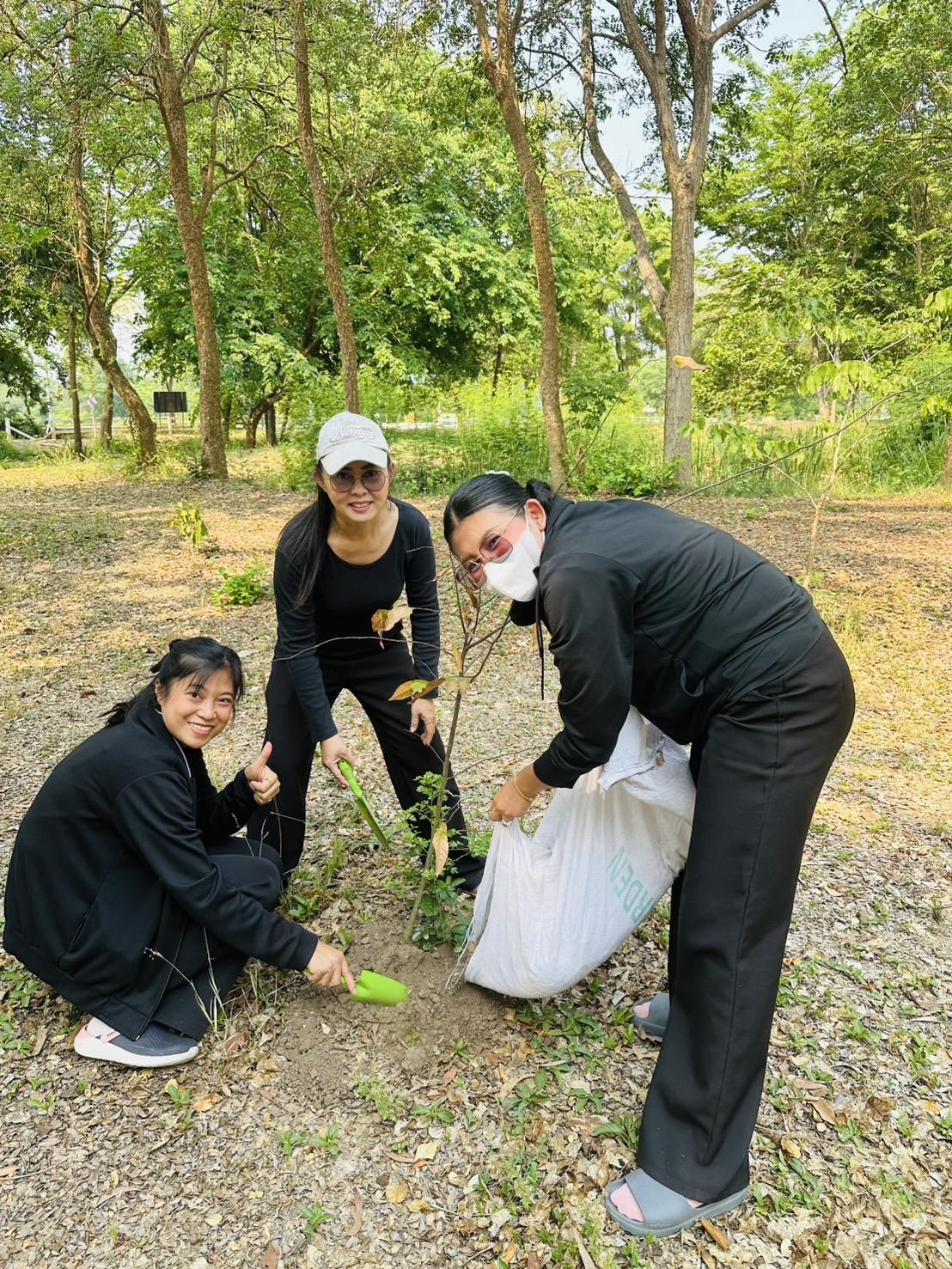 ภาพประกอบที่ 18