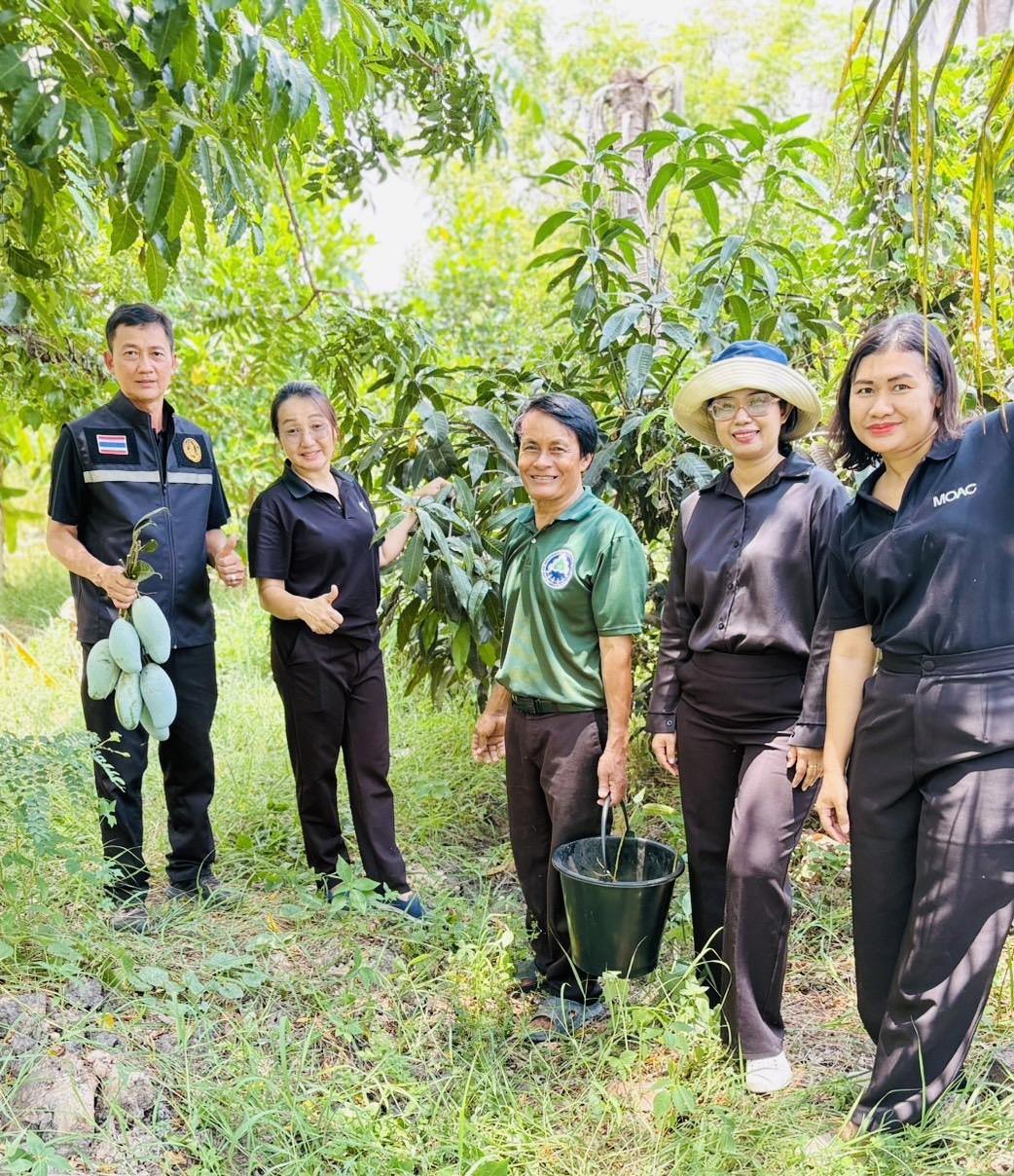 ภาพประกอบที่ 4