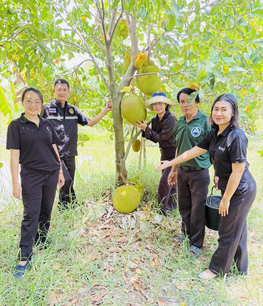 ภาพประกอบที่ 5